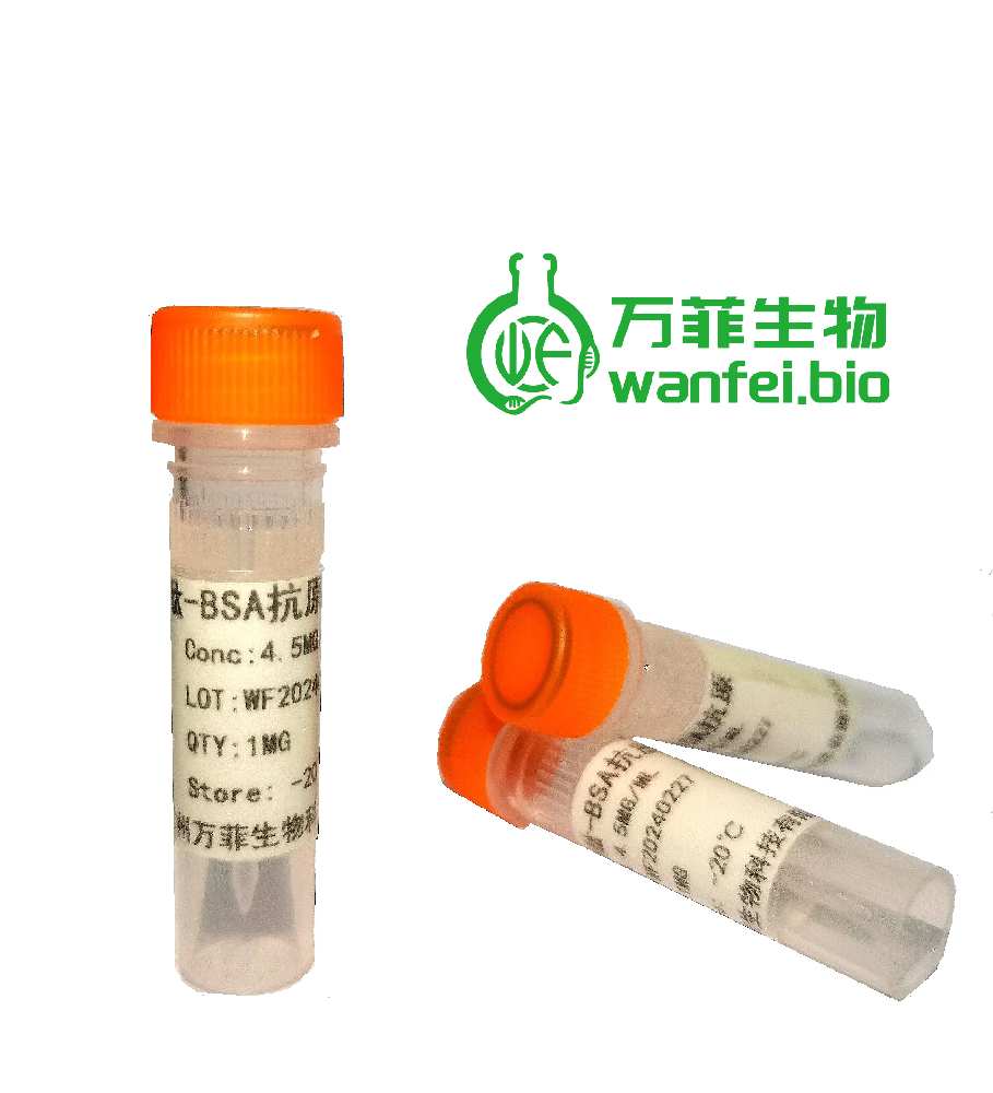 噻虫胺偶联抗原