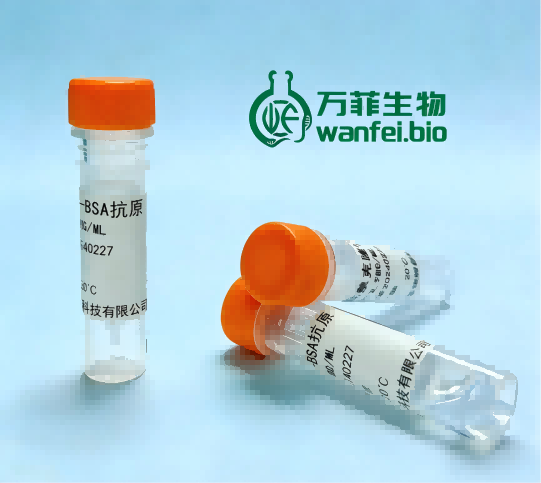黄曲霉毒素B1偶联抗原